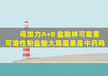 母加力A+B 盐酸林可霉素可溶性粉盐酸大观霉素是中药吗